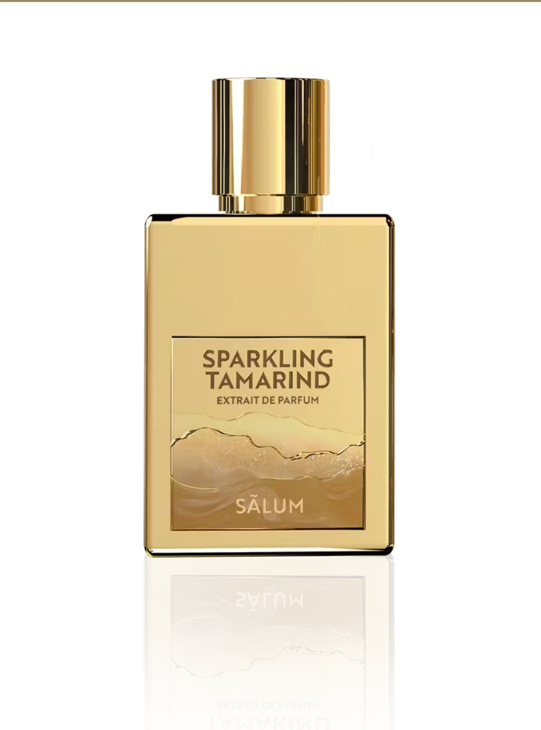 Salum Sparkling Tamarind