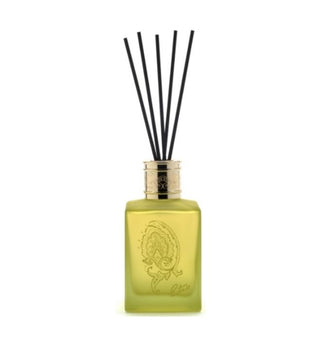 ETRO DIFFUSORE DAFNE